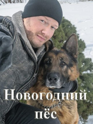 Новогодний пёс