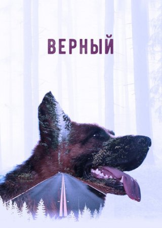 Верный/Костя